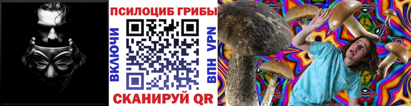 Галлюциногенные грибы мицелий  Санкт-Петербург 
